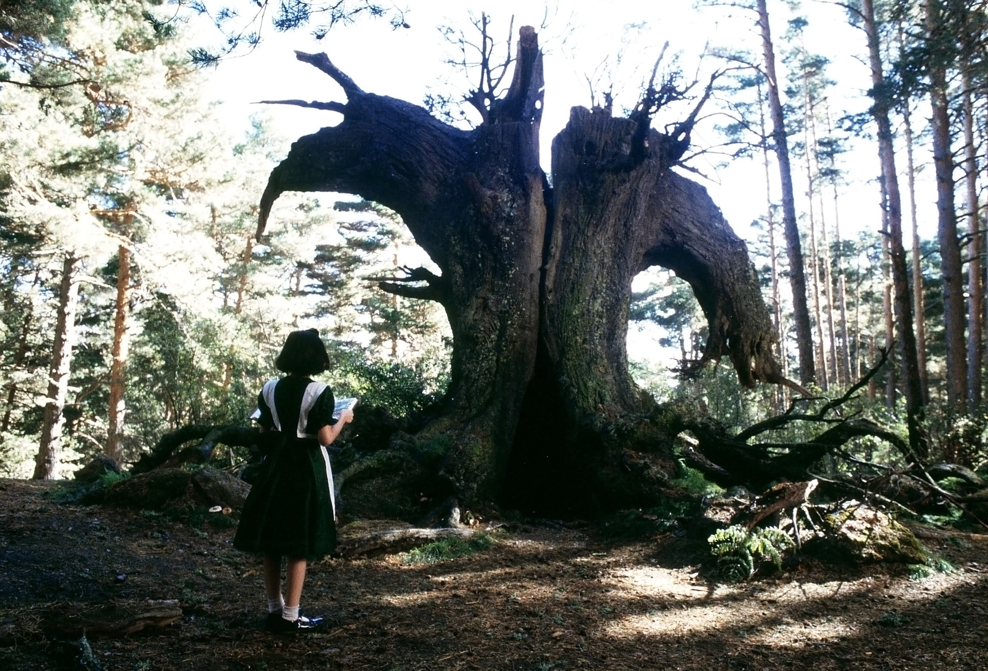 El laberinto del fauno Pan s Labyrinth . 2006. Written and